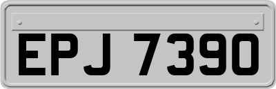 EPJ7390