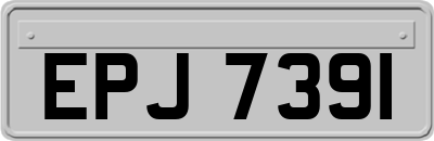 EPJ7391