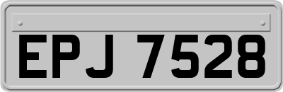 EPJ7528