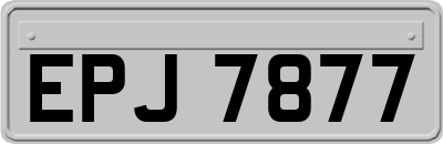 EPJ7877