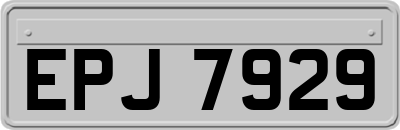 EPJ7929