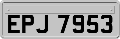 EPJ7953