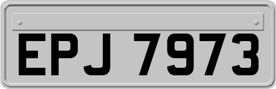 EPJ7973