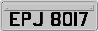 EPJ8017