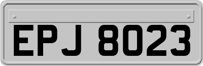 EPJ8023