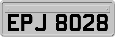 EPJ8028