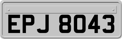EPJ8043