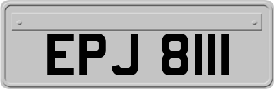 EPJ8111