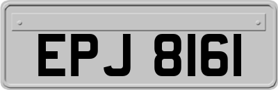 EPJ8161
