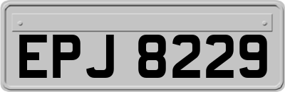 EPJ8229