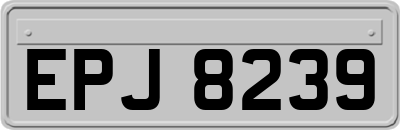 EPJ8239
