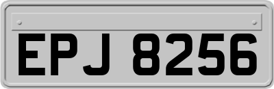 EPJ8256