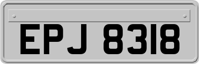 EPJ8318