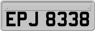 EPJ8338