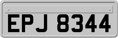 EPJ8344