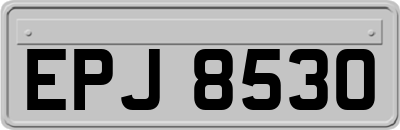 EPJ8530