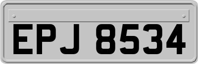 EPJ8534