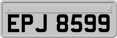 EPJ8599