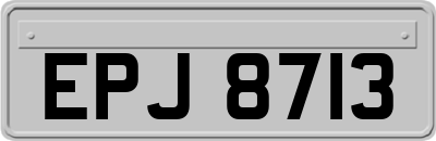 EPJ8713