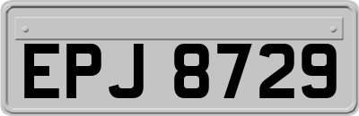 EPJ8729