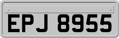 EPJ8955