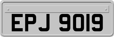 EPJ9019