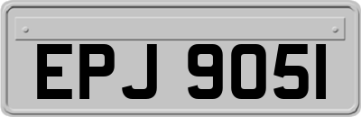 EPJ9051