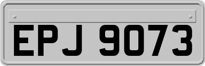 EPJ9073