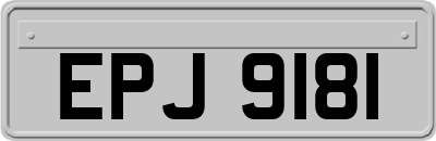 EPJ9181