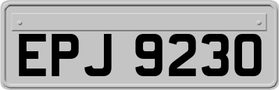 EPJ9230