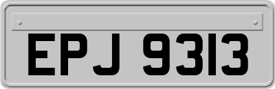 EPJ9313