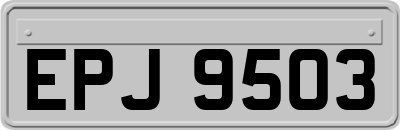 EPJ9503