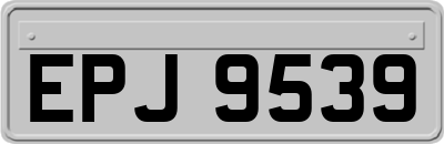 EPJ9539