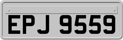 EPJ9559