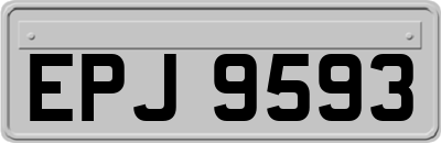 EPJ9593