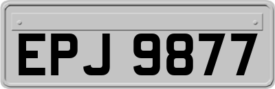EPJ9877