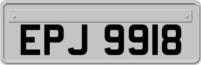 EPJ9918