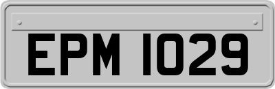 EPM1029