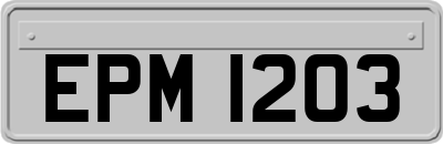 EPM1203