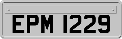 EPM1229