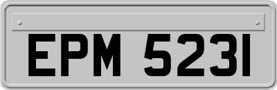 EPM5231