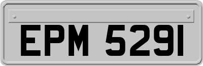 EPM5291