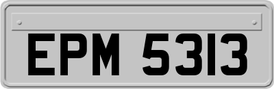 EPM5313