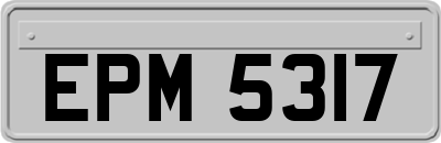 EPM5317