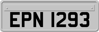 EPN1293