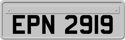 EPN2919