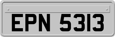 EPN5313