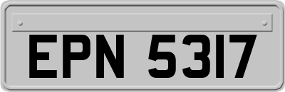 EPN5317