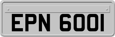 EPN6001
