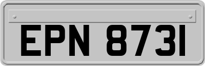EPN8731